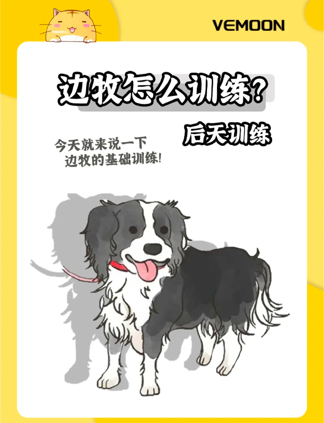 【训练心得】打好攻防转换的关键技巧,从基础开始 【训练心得】打好攻防转换的关键技巧,从基础开始