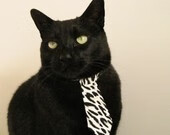 “逆境求胜:车手在极端环境的英勇战役”