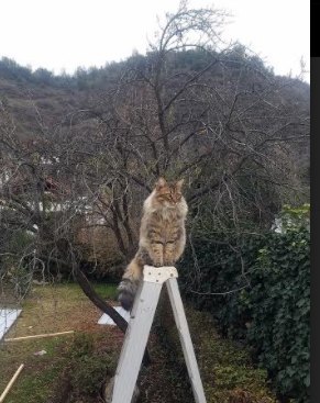 《比赛精彩瞬间：回顾年度最佳操作集锦》，竞赛精彩瞬间怎么写