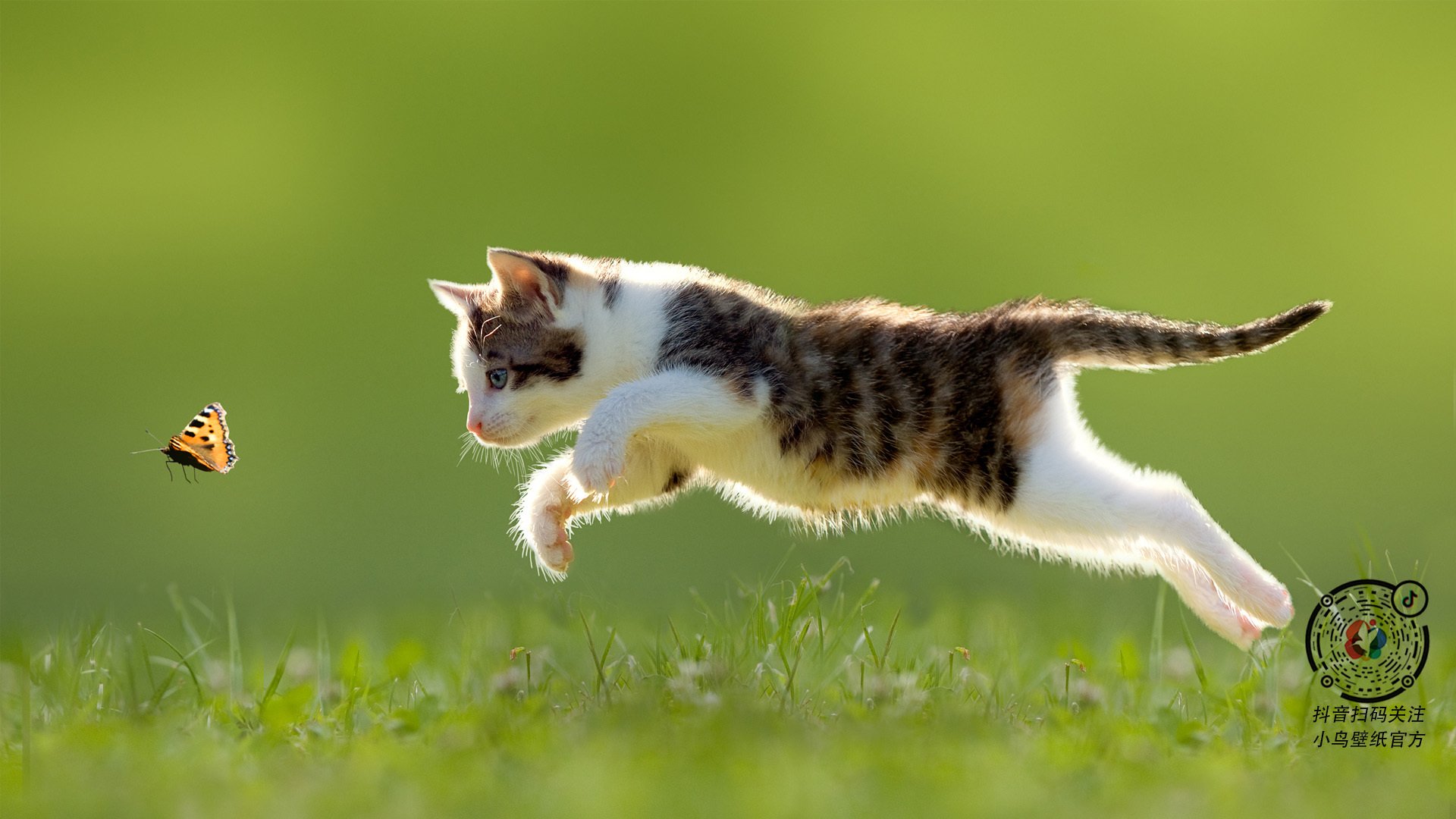 历史冠军:他们那些难忘的夺冠瞬间,历史夺冠训练