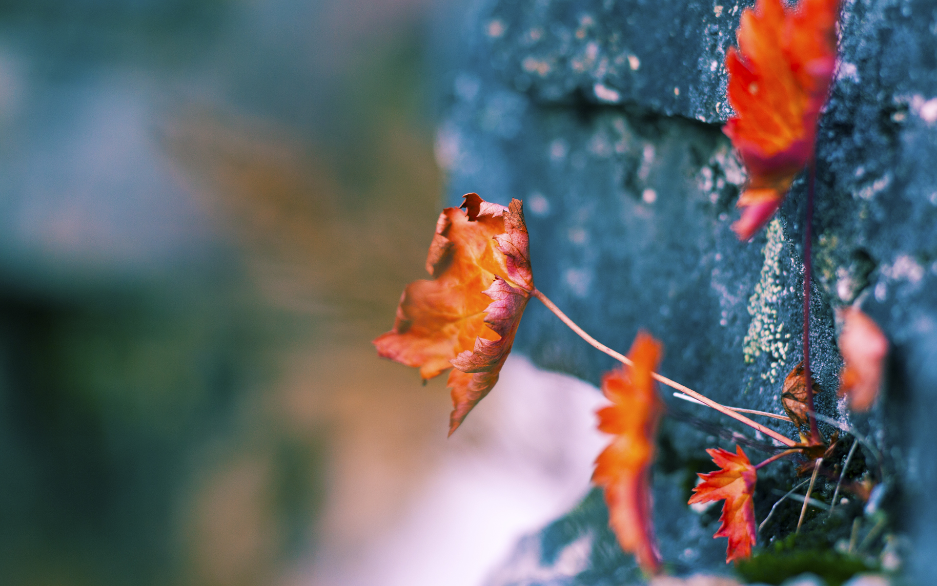 篮球科技:虚拟现实助力球员训练新方式,虚拟篮球投注