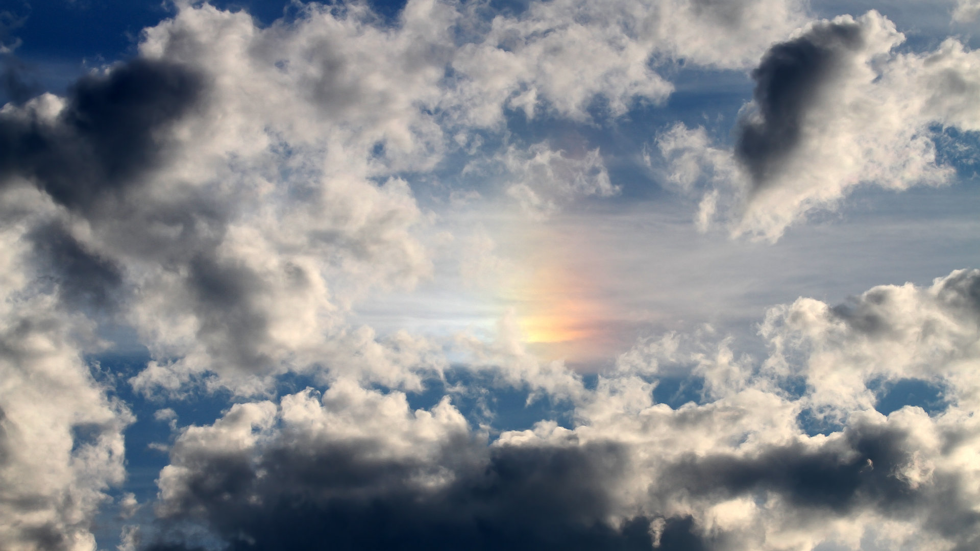 爱游戏综合娱乐-逆境中成长的冠军：迈克尔的故事，m迈克尔