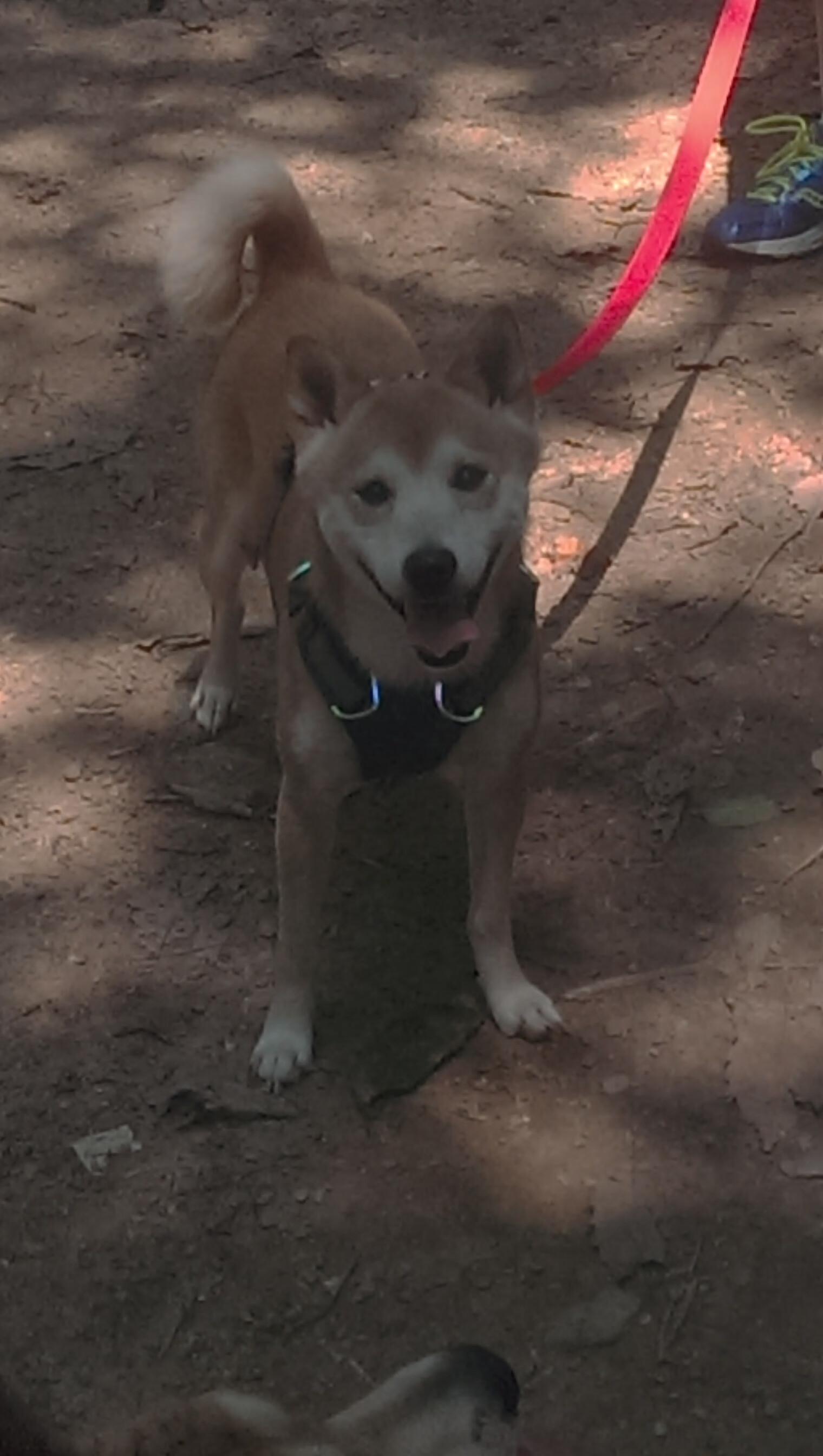 爱游戏登录入口-CBA新赛季转会市场持续活跃，球员争相选择下家，cba球员转会情况