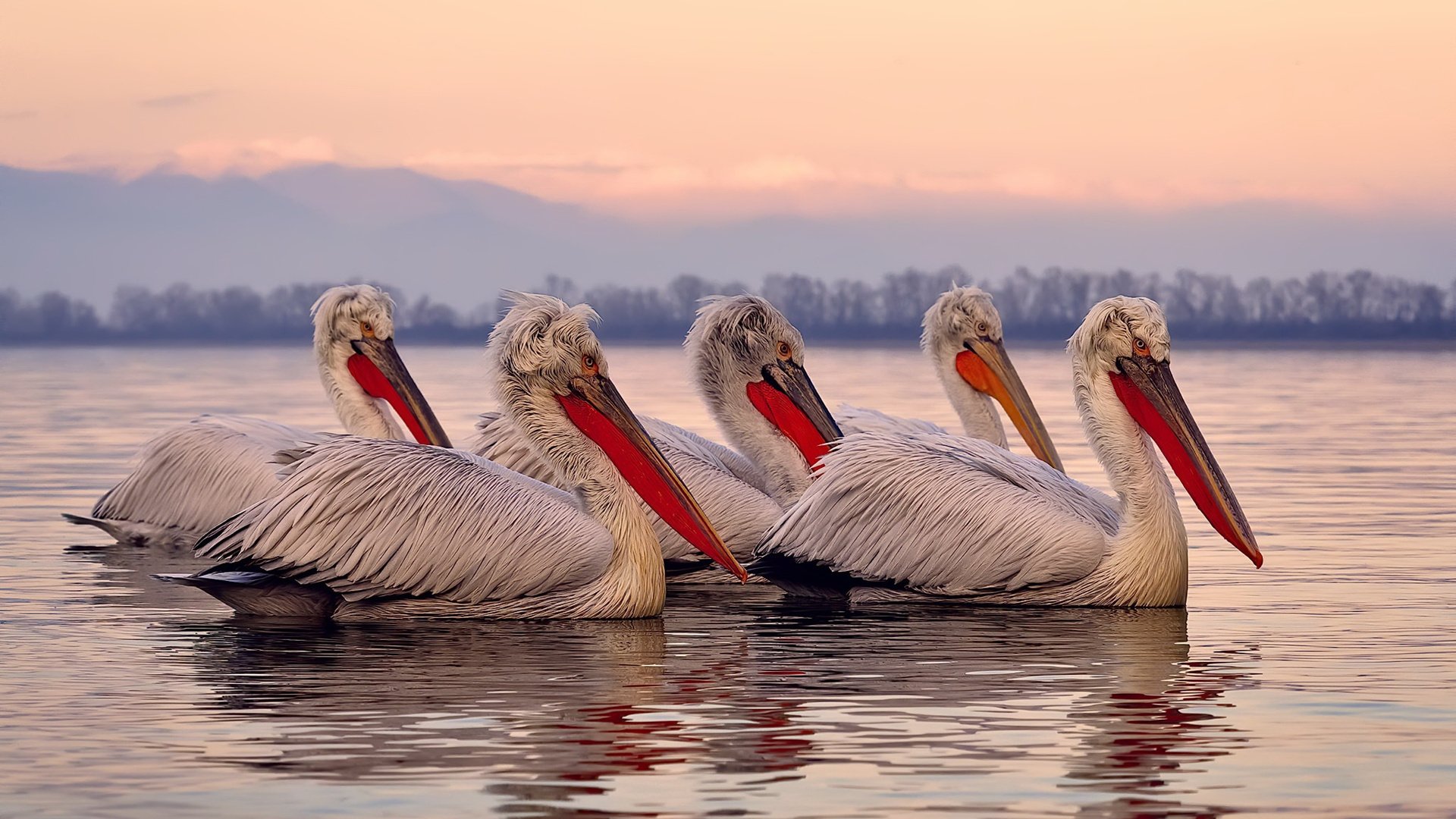 一场平局比赛揭开了积分榜新格局，分析积分榜平一场比负一场多得多少分