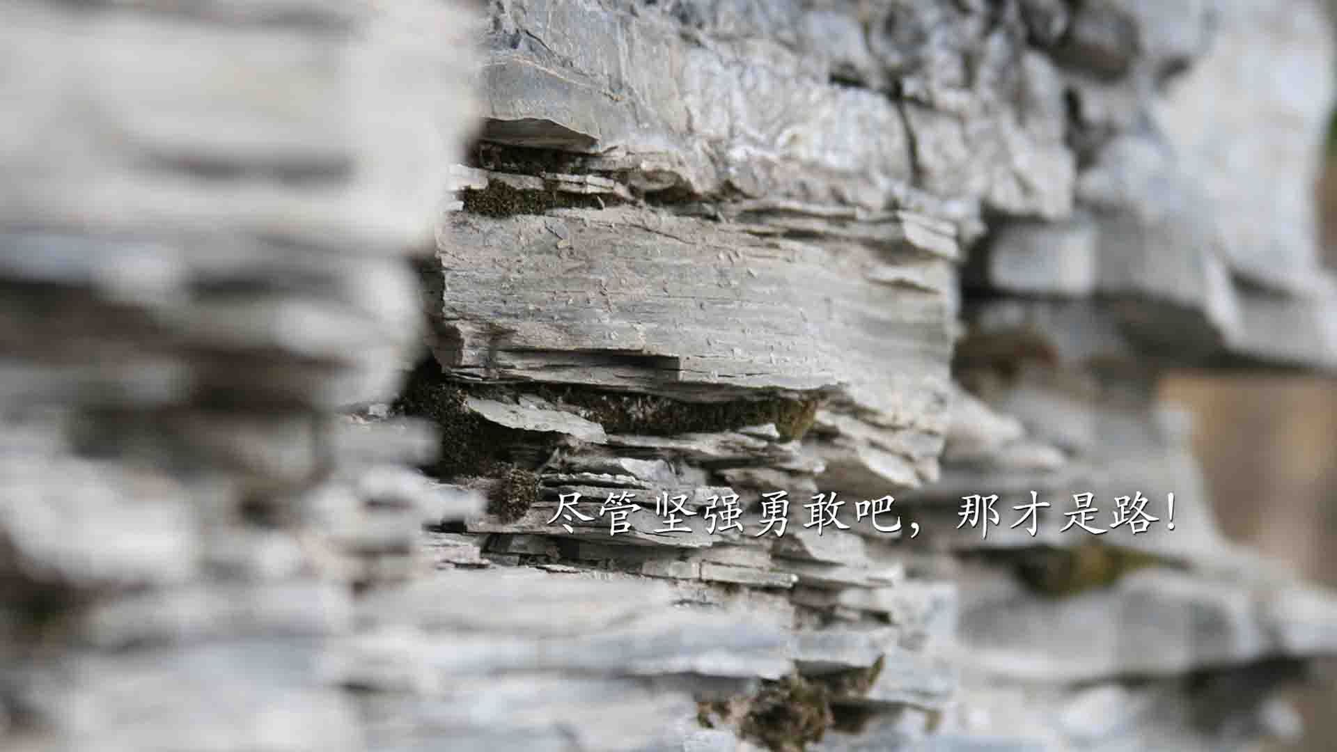 公牛击败尼克斯,常规赛巅峰对决中德罗赞罚球绝杀,公牛德里克罗斯图片