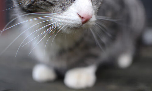 爱游戏体育（AYX）官方APP下载-国足替补阵容轮换合理，保持战斗力，国足替补名单