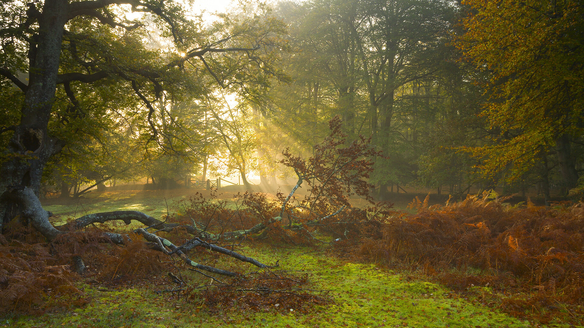 女子网球联合杯中国队挺进四强，郑钦文连胜不止，中国网球年终总决赛郑赛赛