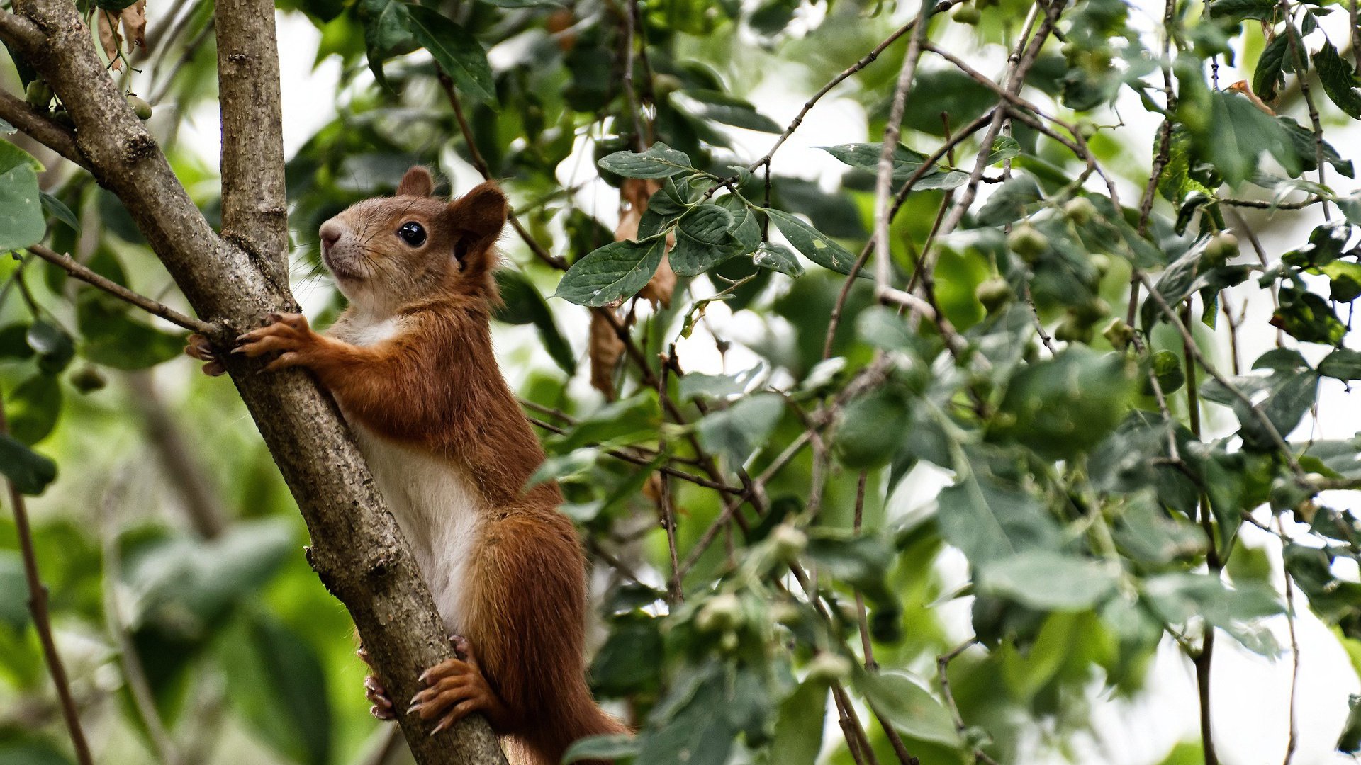 新赛季是否将出现新型控球主导球队，新赛季是否将出现新型控球主导球队进攻