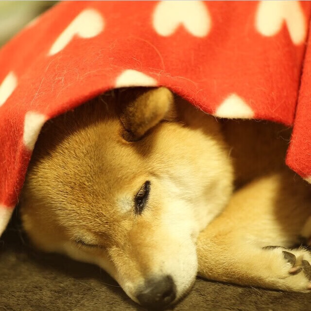 意甲球队基于数据分析调整中场组织策略实践，意甲中场球员排名