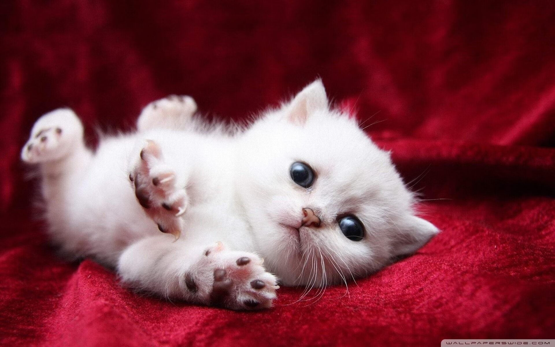 爱游戏中国官方网站平台-五大联赛边锋助攻方式是否已从传统传中转向内切直塞，五大联赛最好的边锋