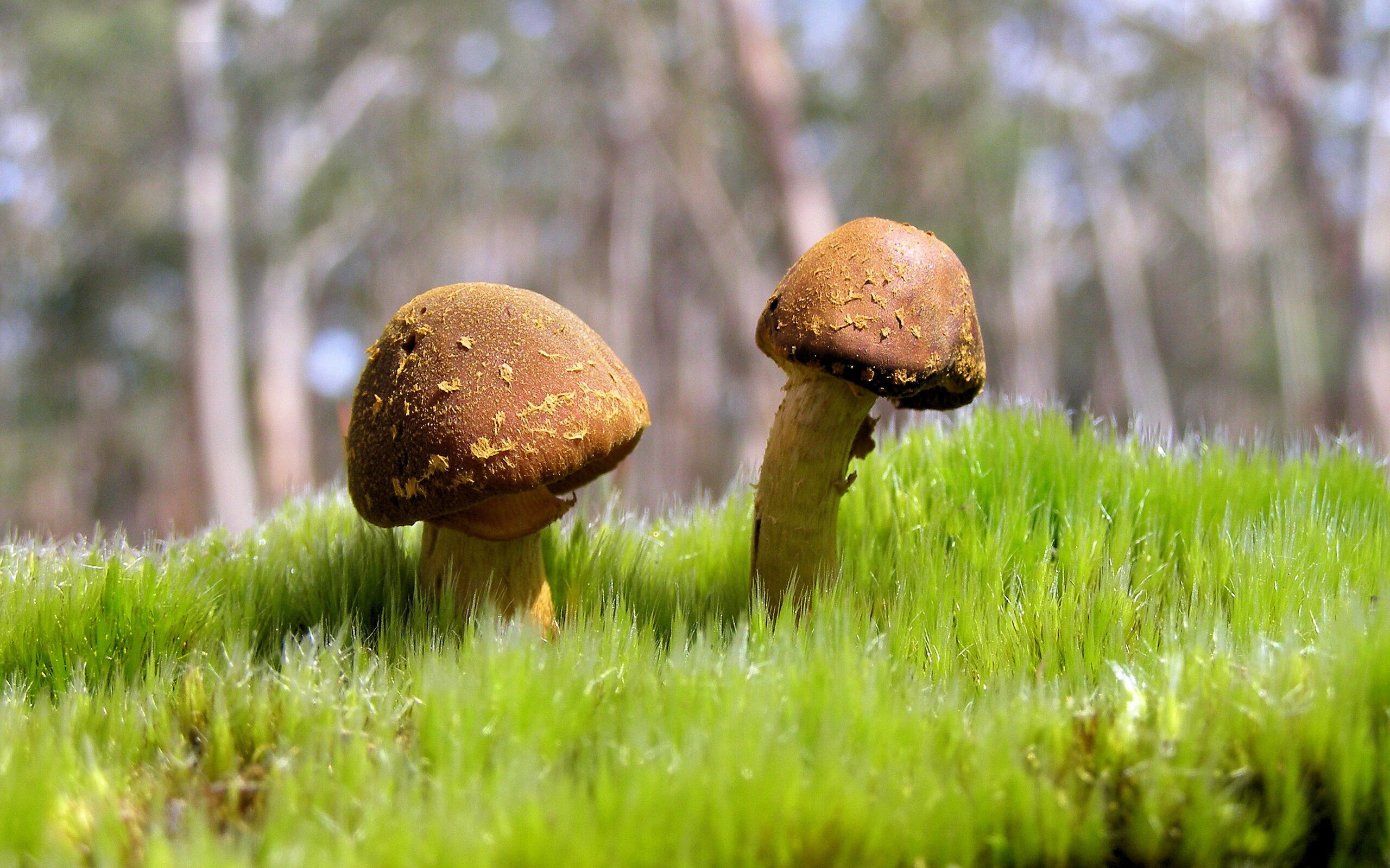 全民健身路线图与交通规划协同设计,全民健身路径的健身方法分为