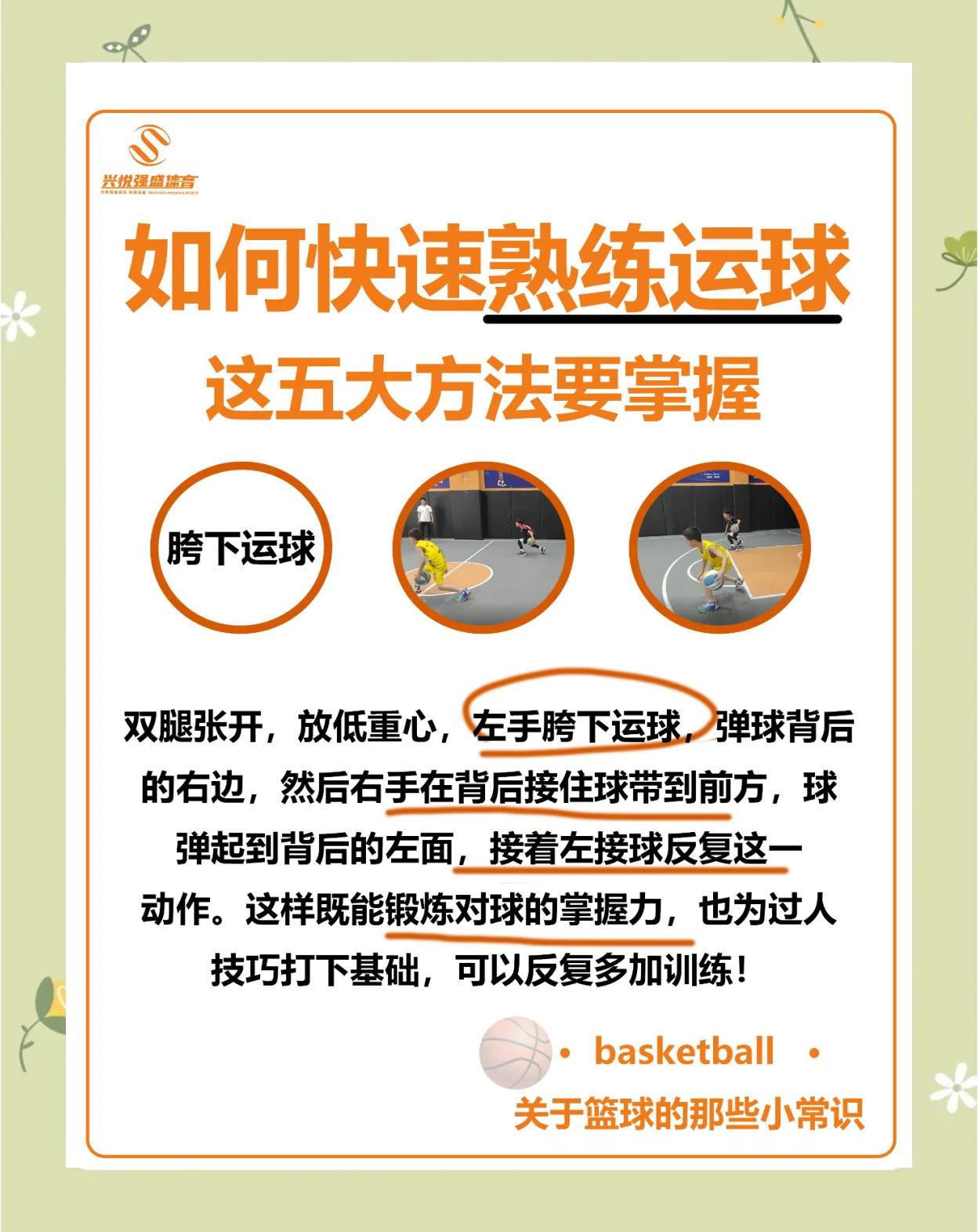 包含AYX爱游戏：篮球训练营的科学训练方法：如何提升训练效率，避免运动损伤？的词条